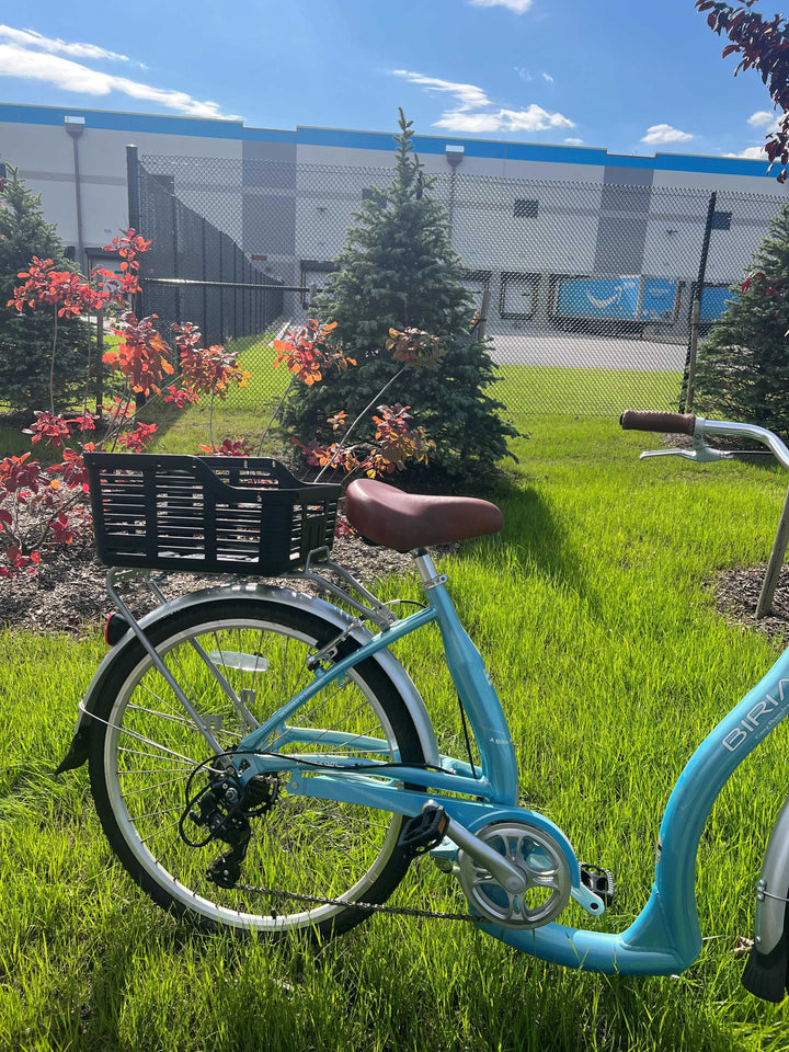 Plastic bike basket attached to rear wheel of bike