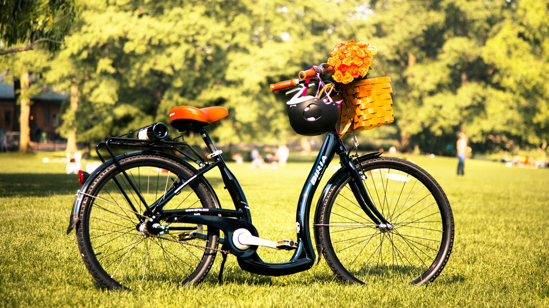 A Bicycle with a unique design in the middle of a park