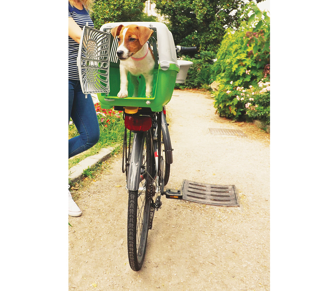 Dog looking out of pet kennel attachment on rear wheel of bike