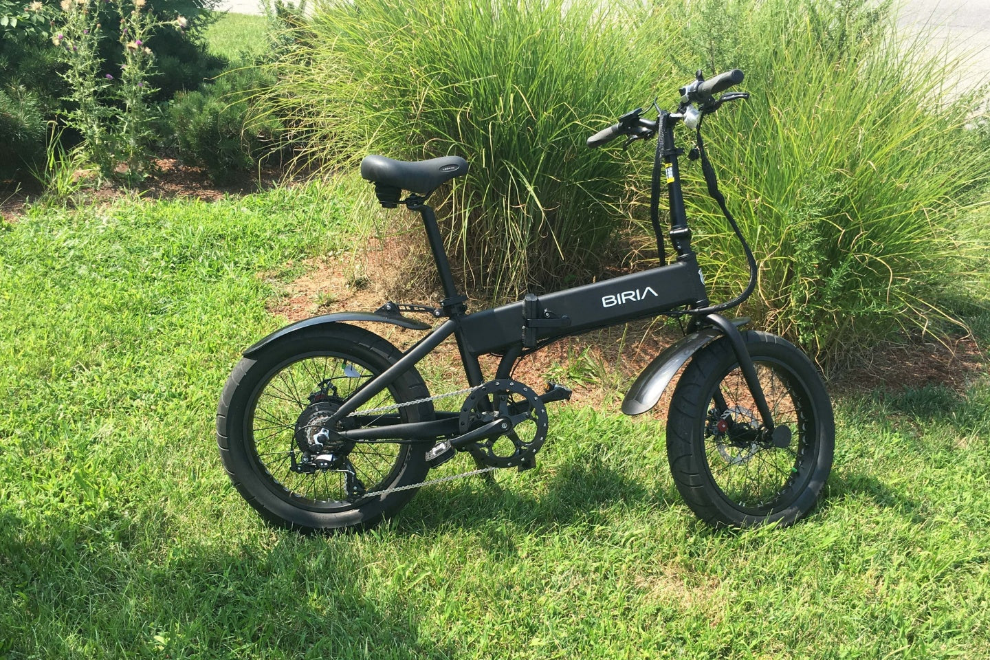 An electric bicycle in front of some grass bushes